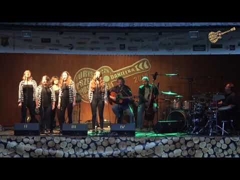 Kostka Cukru i Zespół Z Ptasimi Piórami – Protest Song Chomika (Danielka 2018)